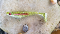 Soft Fishing Lure